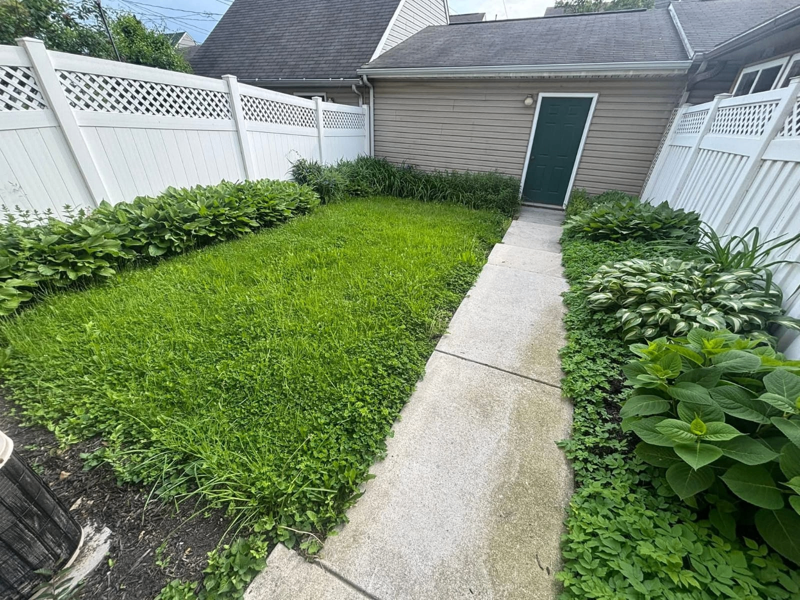 Before landscaping